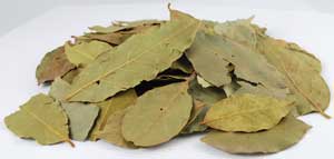 Bay Leaves Whole 1oz (Laurus Nobilis)