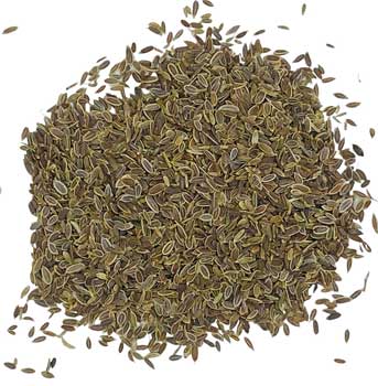 Dill Seed Whole 1oz