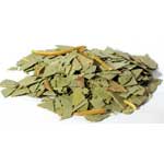 Eucalyptus Cut 1oz (Eucalyptus Globulus)