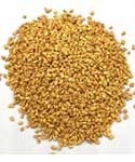 Fenugreek Seed Whole 1oz