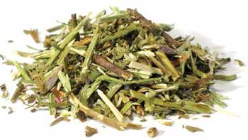 Hyssop Cut 1oz (Hyssopus Officinalis)