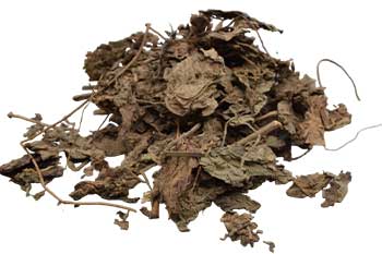 Patchouli Leaf 1oz