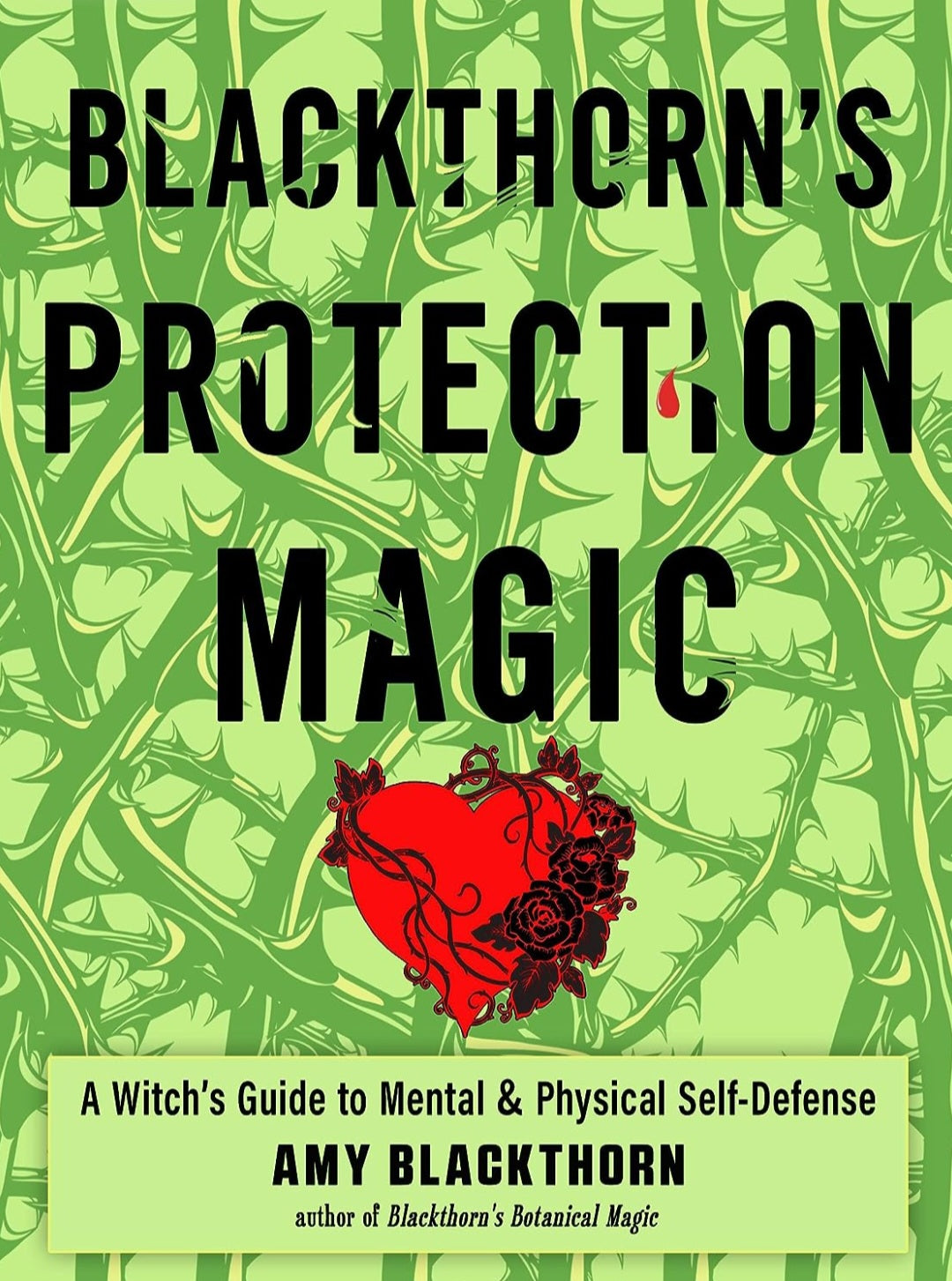 Blackthorn's Protection Magic by Amy Blackthorn