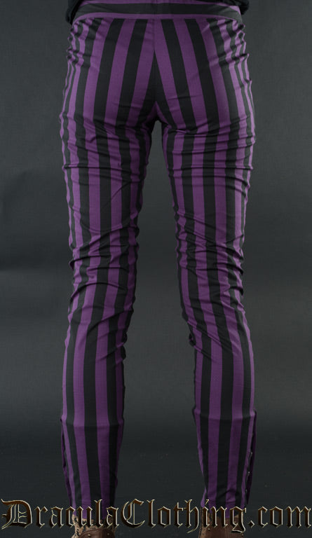 PURPLE STRIPED FIVE BUTTON PANTS